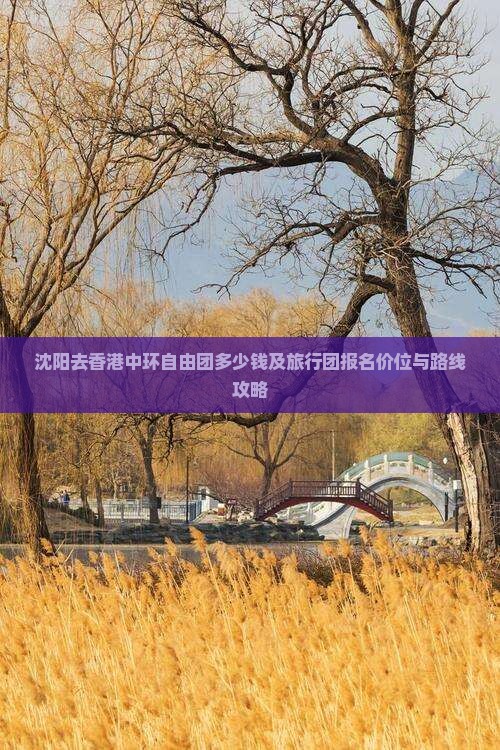 沈阳去香港中环自由团多少钱及旅行团报名价位与路线攻略