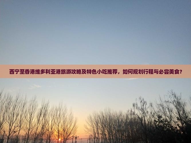 西宁至香港维多利亚港旅游攻略及特色小吃推荐，如何规划行程与必尝美食？