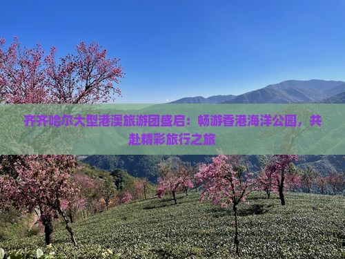齐齐哈尔大型港澳旅游团盛启：畅游香港海洋公园，共赴精彩旅行之旅