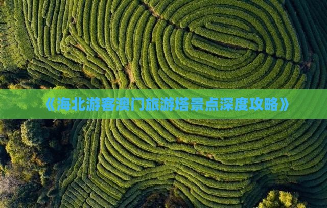 《海北游客澳门旅游塔景点深度攻略》