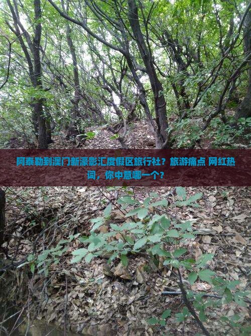 阿泰勒到澳门新濠影汇度假区旅行社？旅游痛点+网红热词，你中意哪一个？