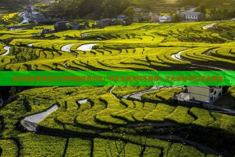 嘉兴到香港故宫文化博物馆旅游小吃？带货主播为何不推荐？文化体验+网红美食攻略