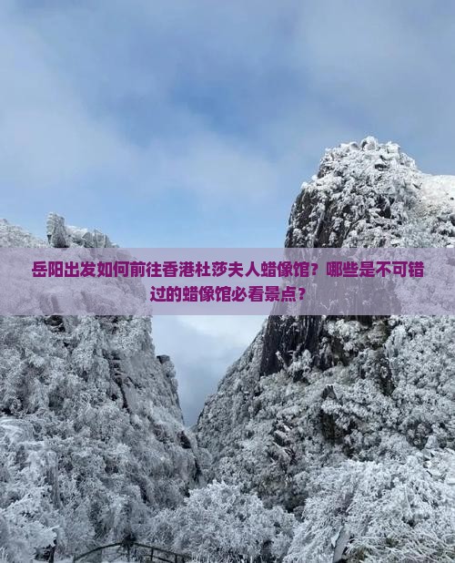 岳阳出发如何前往香港杜莎夫人蜡像馆？哪些是不可错过的蜡像馆必看景点？