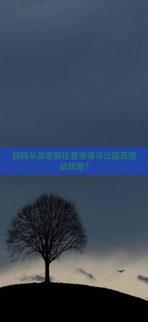 如何从吴忠前往香港海洋公园及游玩攻略？