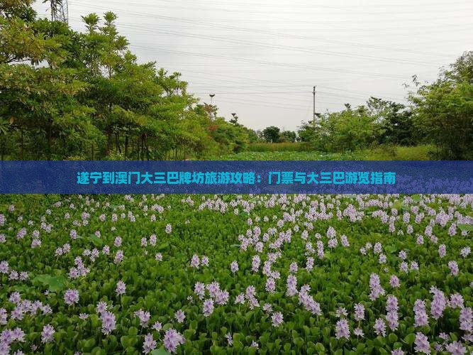 遂宁到澳门大三巴牌坊旅游攻略：门票与大三巴游览指南