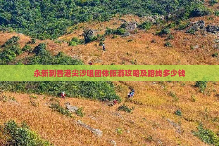 永新到香港尖沙咀团体旅游攻略及路线多少钱