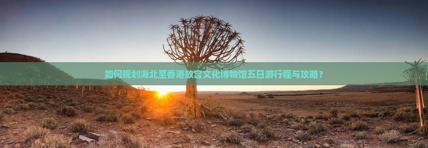 如何规划海北至香港故宫文化博物馆五日游行程与攻略？