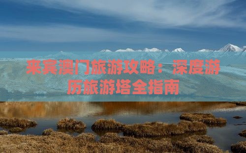 来宾澳门旅游攻略：深度游历旅游塔全指南