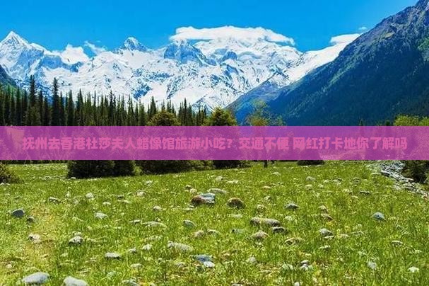 抚州去香港杜莎夫人蜡像馆旅游小吃？交通不便+网红打卡地你了解吗