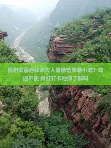 抚州去香港杜莎夫人蜡像馆旅游小吃？交通不便+网红打卡地你了解吗