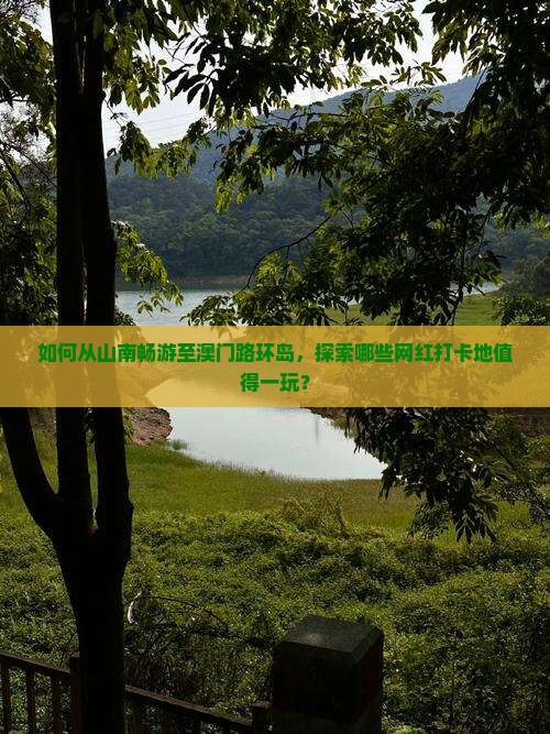 如何从山南畅游至澳门路环岛，探索哪些网红打卡地值得一玩？
