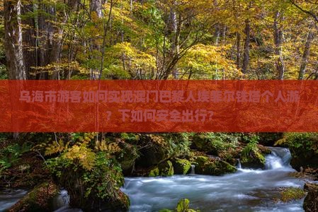 乌海市游客如何实现澳门巴黎人埃菲尔铁塔个人游？下如何安全出行？