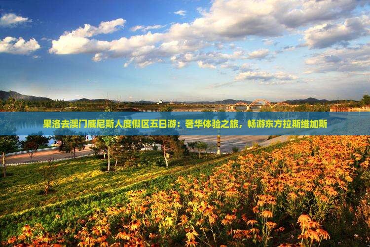 果洛去澳门威尼斯人度假区五日游：奢华体验之旅，畅游东方拉斯维加斯