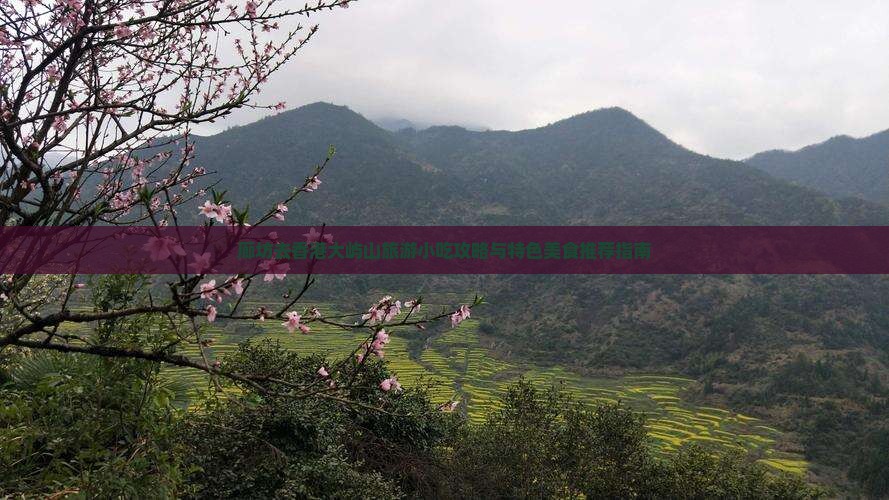 廊坊去香港大屿山旅游小吃攻略与特色美食推荐指南
