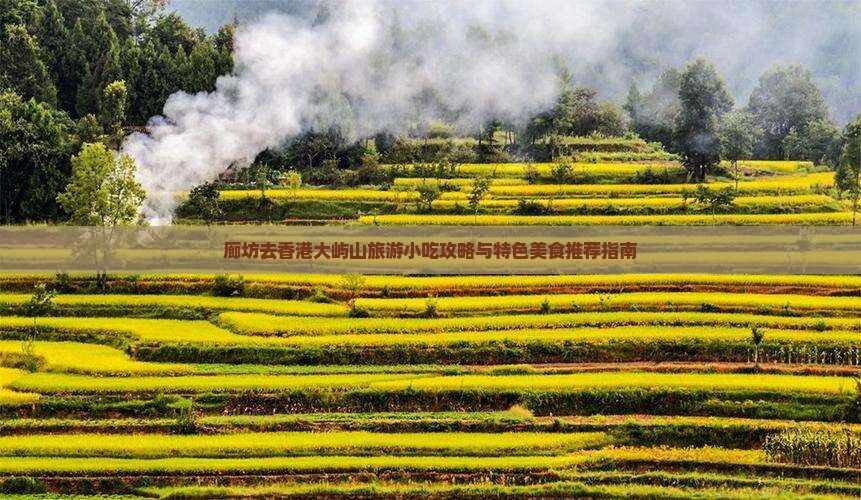 廊坊去香港大屿山旅游小吃攻略与特色美食推荐指南