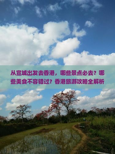 从宣城出发去香港，哪些景点必去？哪些美食不容错过？香港旅游攻略全解析