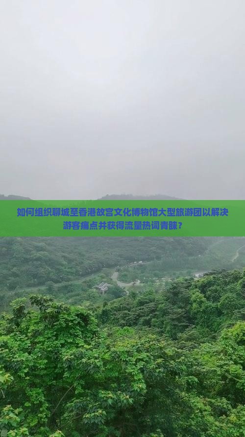 如何组织聊城至香港故宫文化博物馆大型旅游团以解决游客痛点并获得流量热词青睐？