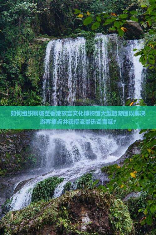 如何组织聊城至香港故宫文化博物馆大型旅游团以解决游客痛点并获得流量热词青睐？