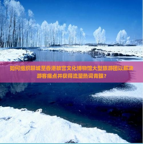 如何组织聊城至香港故宫文化博物馆大型旅游团以解决游客痛点并获得流量热词青睐？