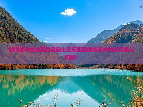 如何解决白城至香港迪士尼乐园团体旅游中的常见痛点问题？
