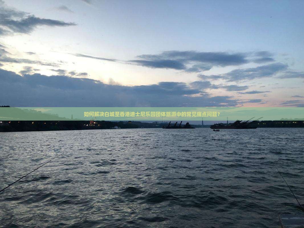 如何解决白城至香港迪士尼乐园团体旅游中的常见痛点问题？