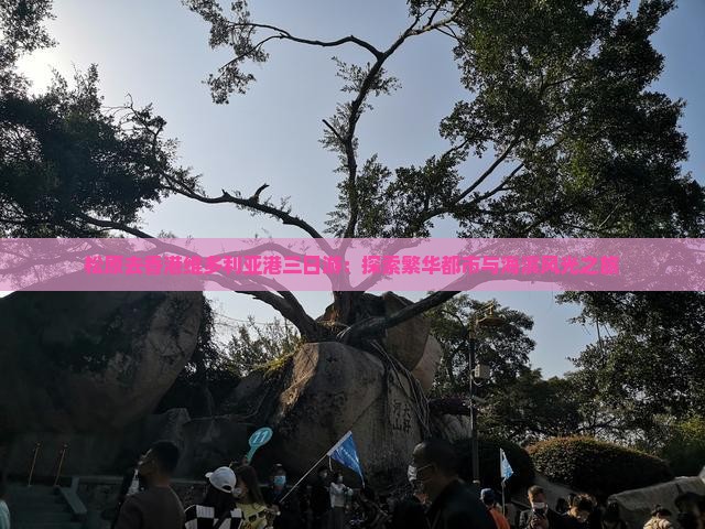 松原去香港维多利亚港三日游：探索繁华都市与海滨风光之旅