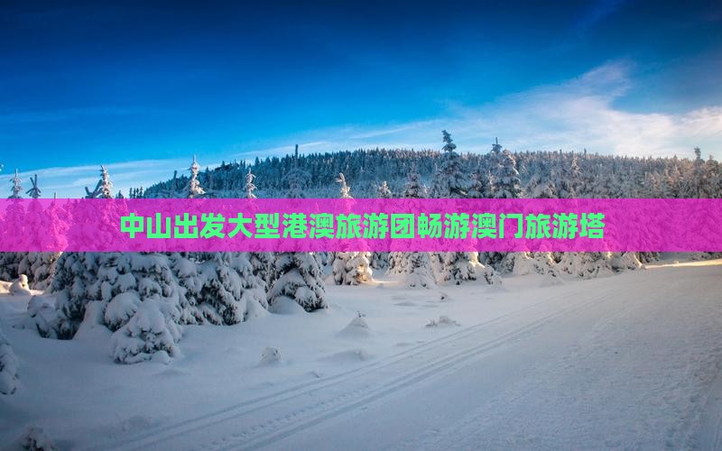 中山出发大型港澳旅游团畅游澳门旅游塔