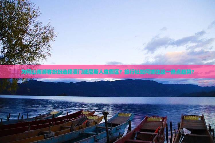 为何山南游客纷纷选择澳门威尼斯人度假区？旅行社如何抓住这一热点趋势？
