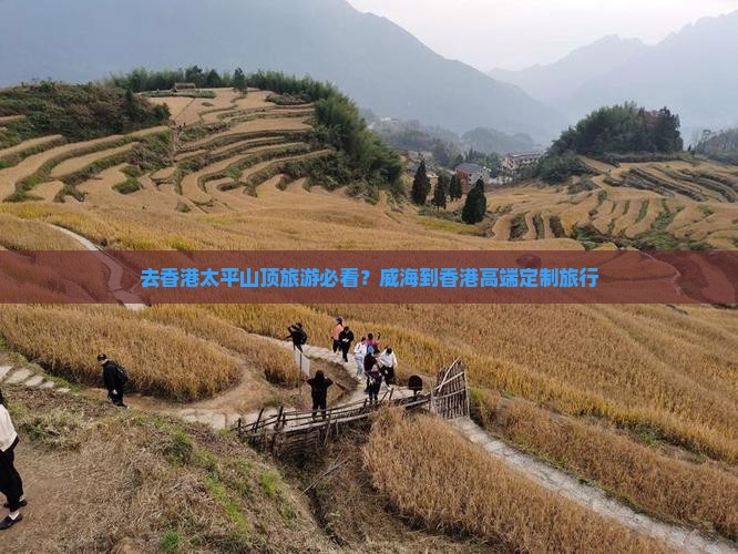 去香港太平山顶旅游必看？威海到香港高端定制旅行
