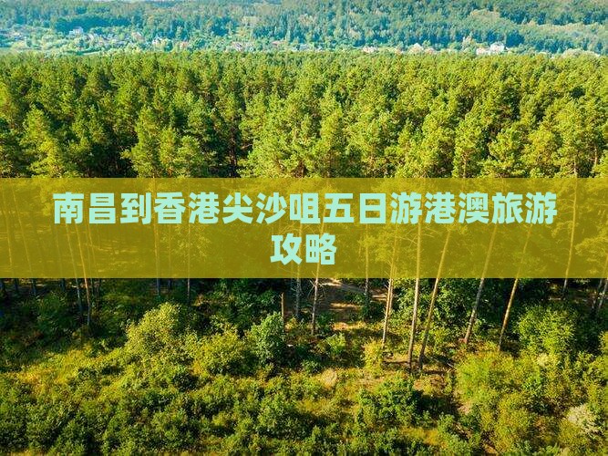 南昌到香港尖沙咀五日游港澳旅游攻略