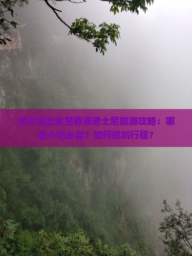 哈尔滨出发至香港迪士尼旅游攻略：哪些小吃必尝？如何规划行程？