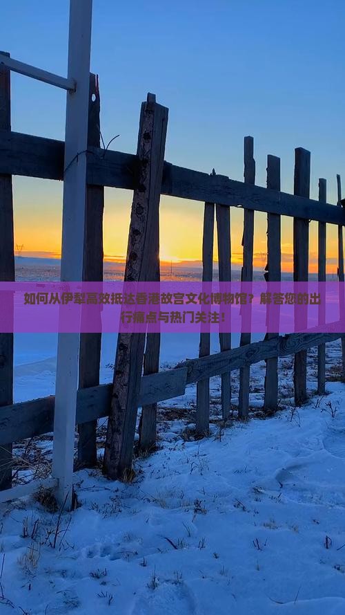 如何从伊犁高效抵达香港故宫文化博物馆？解答您的出行痛点与热门关注！
