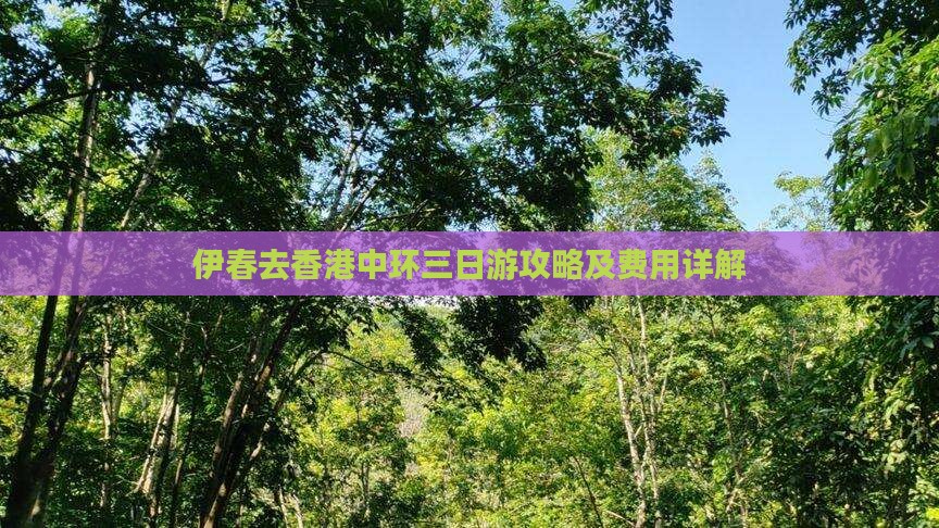 伊春去香港中环三日游攻略及费用详解