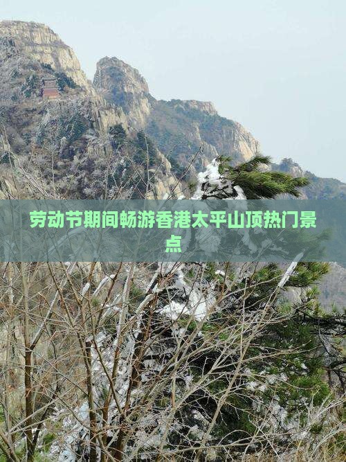 劳动节期间畅游香港太平山顶热门景点