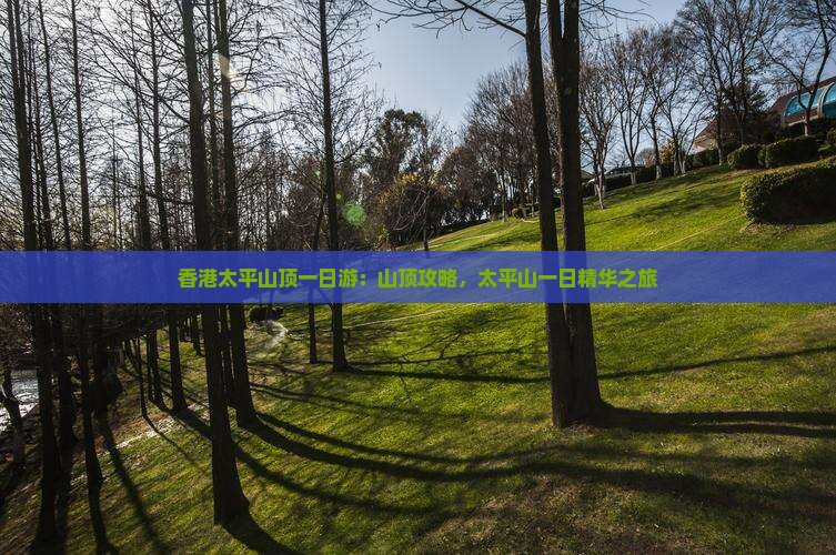 香港太平山顶一日游：山顶攻略，太平山一日精华之旅