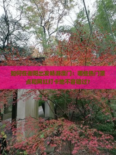 如何在衡阳出发畅游澳门：哪些热门景点和网红打卡地不容错过？