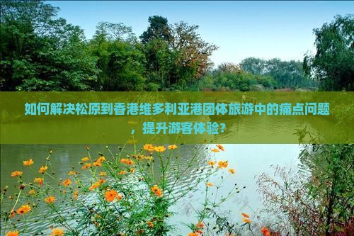 如何解决松原到香港维多利亚港团体旅游中的痛点问题，提升游客体验？