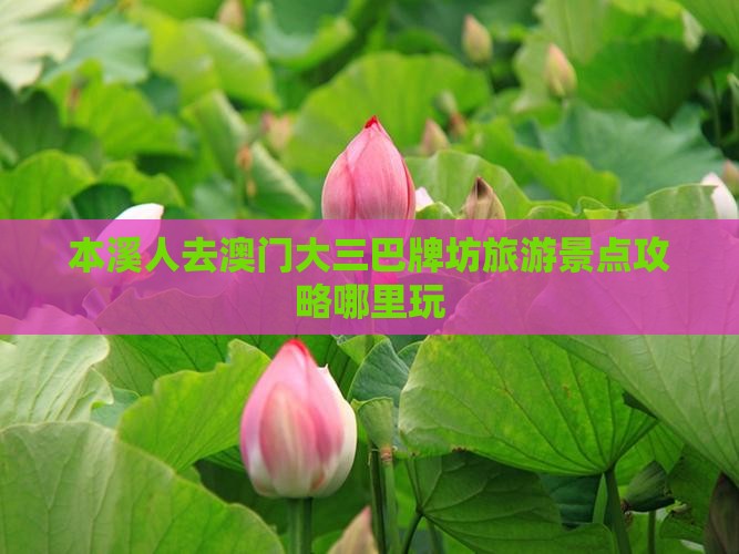 本溪人去澳门大三巴牌坊旅游景点攻略哪里玩
