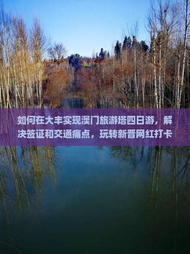 如何在大丰实现澳门旅游塔四日游，解决签证和交通痛点，玩转新晋网红打卡地？
