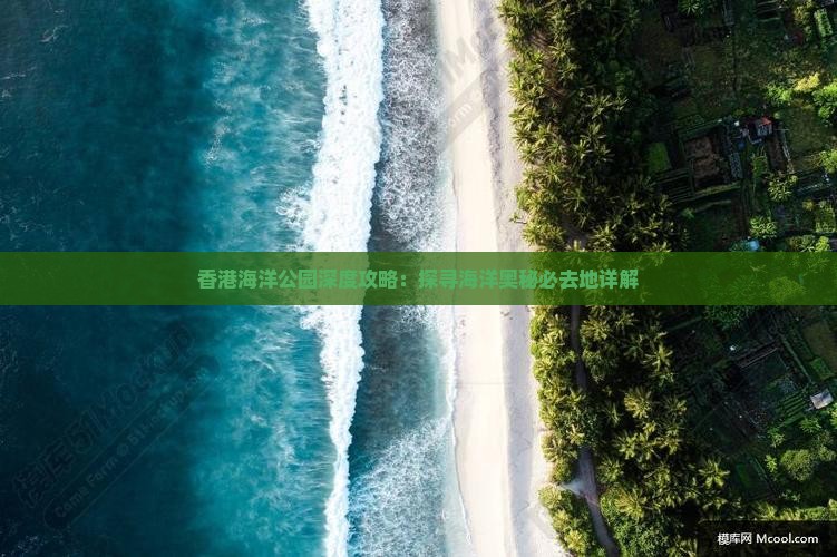 香港海洋公园深度攻略：探寻海洋奥秘必去地详解