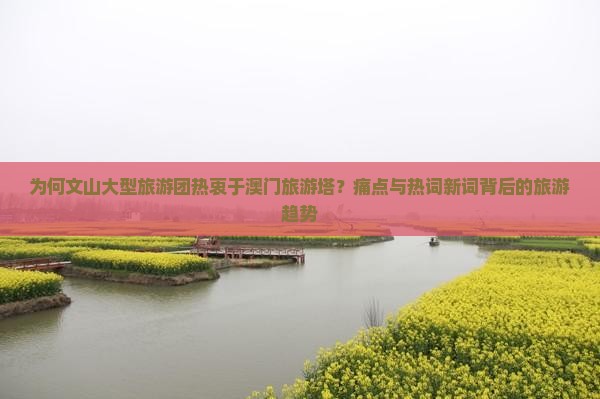 为何文山大型旅游团热衷于澳门旅游塔？痛点与热词新词背后的旅游趋势
