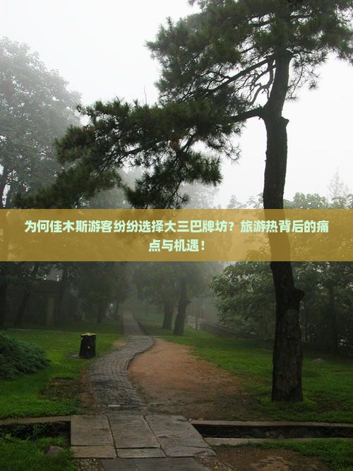 为何佳木斯游客纷纷选择大三巴牌坊？旅游热背后的痛点与机遇！