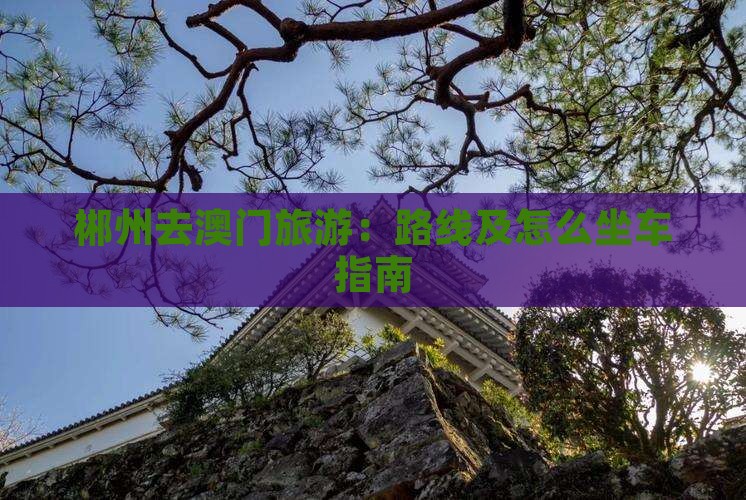 郴州去澳门旅游：路线及怎么坐车指南