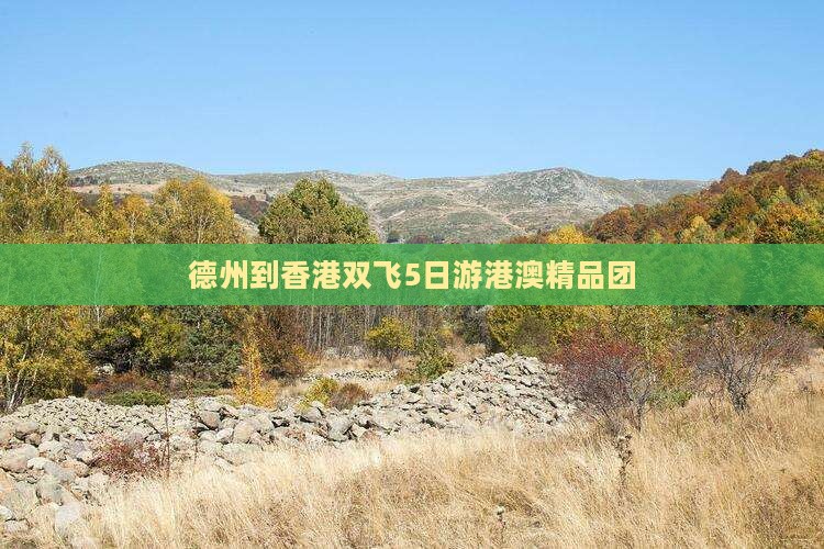 德州到香港双飞5日游港澳精品团