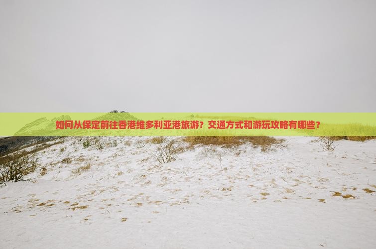 如何从保定前往香港维多利亚港旅游？交通方式和游玩攻略有哪些？