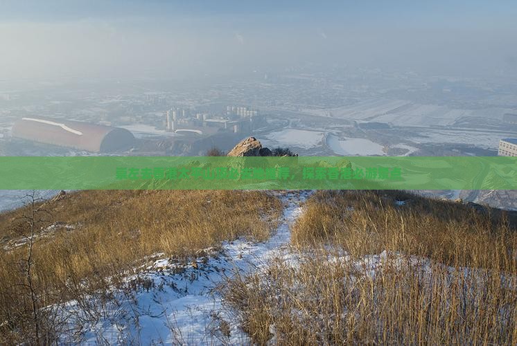 崇左去香港太平山顶必去地推荐，探索香港必游景点