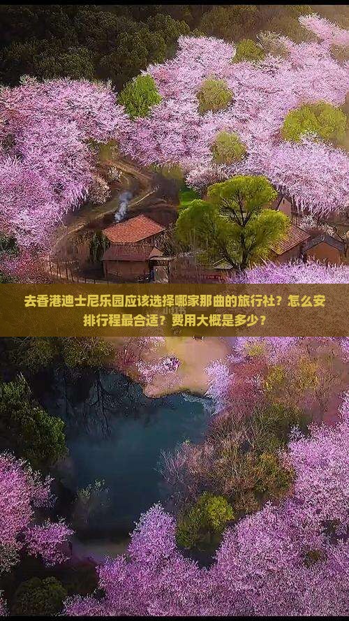 去香港迪士尼乐园应该选择哪家那曲的旅行社？怎么安排行程最合适？费用大概是多少？