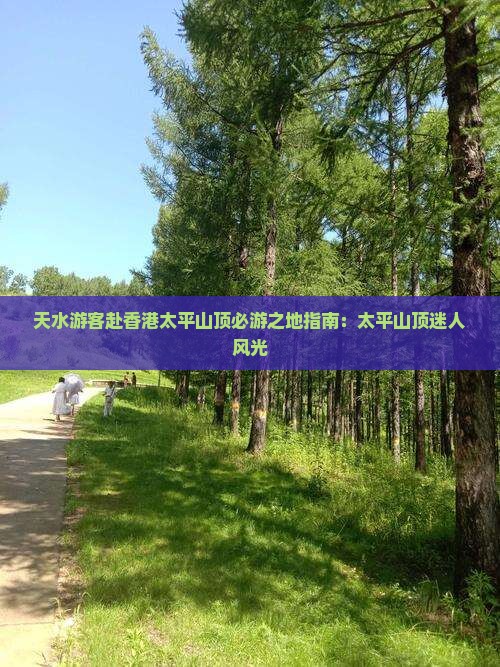 天水游客赴香港太平山顶必游之地指南：太平山顶迷人风光