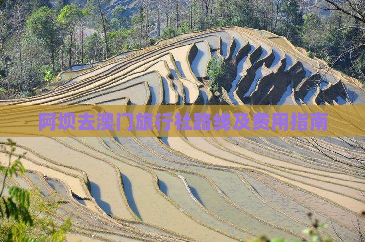 阿坝去澳门旅行社路线及费用指南
