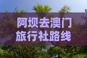 阿坝去澳门旅行社路线及费用指南